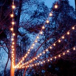 A Canopy of String Lights in our Backyard | Gray House Studio