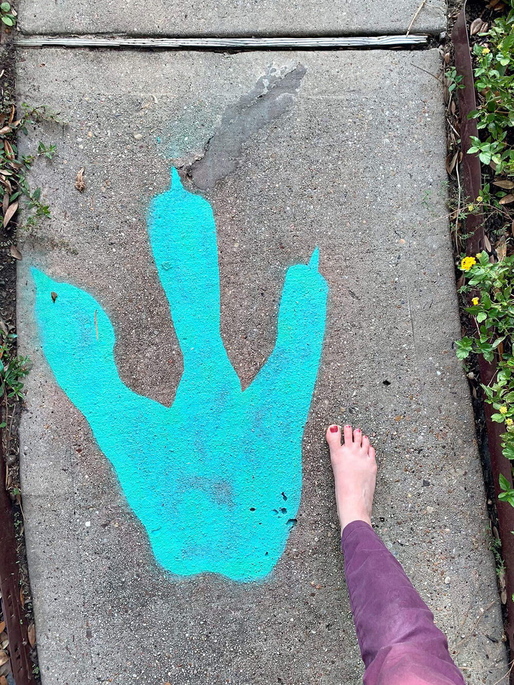DIY Dinosaur Tracks out of chalk for a dinosaur party