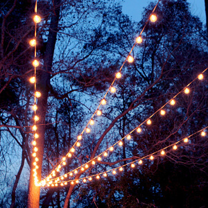 A Canopy of String Lights in our Backyard | Gray House Studio