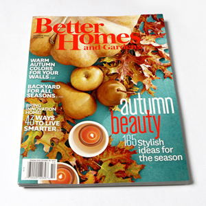 Better Homes & Gardens {I Did it} Feature