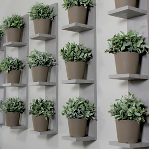 Wall-Mounted Plant Shelves