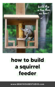 How to Build A Squirrel Feeder