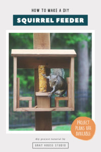 Squirrel Corn Cob Feeder DIY